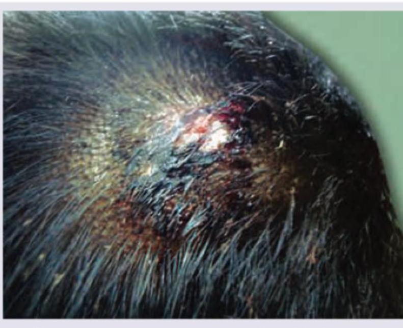 Image for question 122