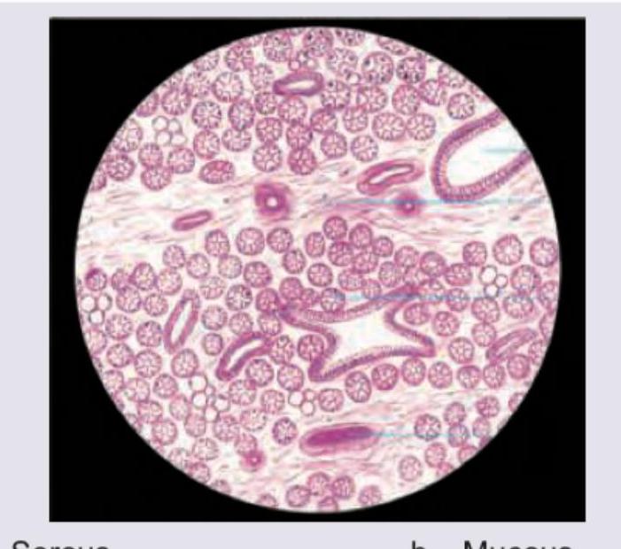 Image for question 15