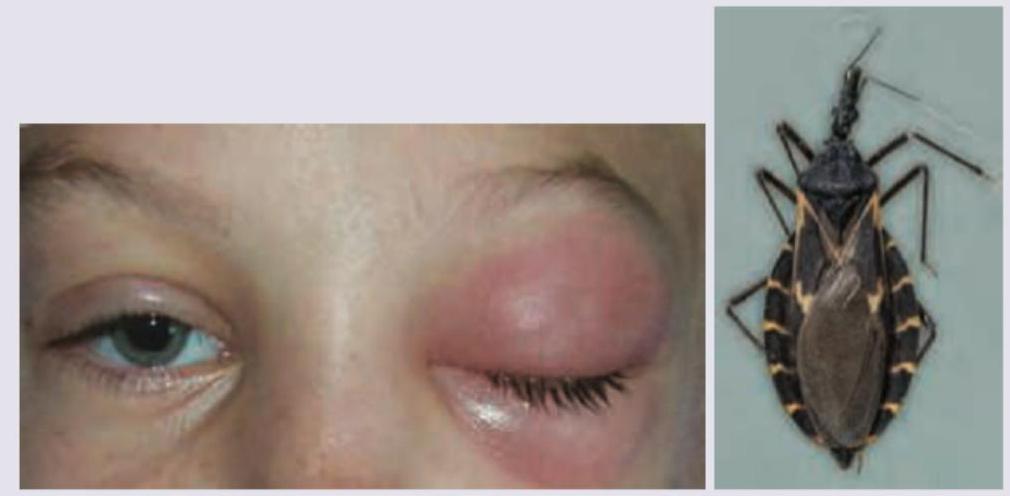 Image for question 20