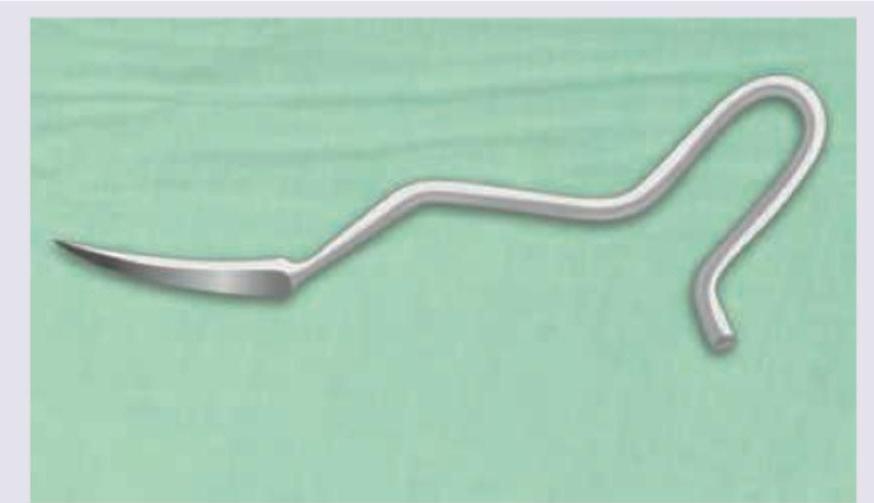 Image for question 60