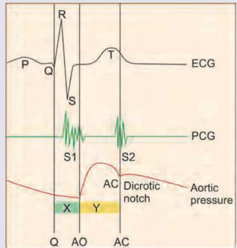 Image for question 9