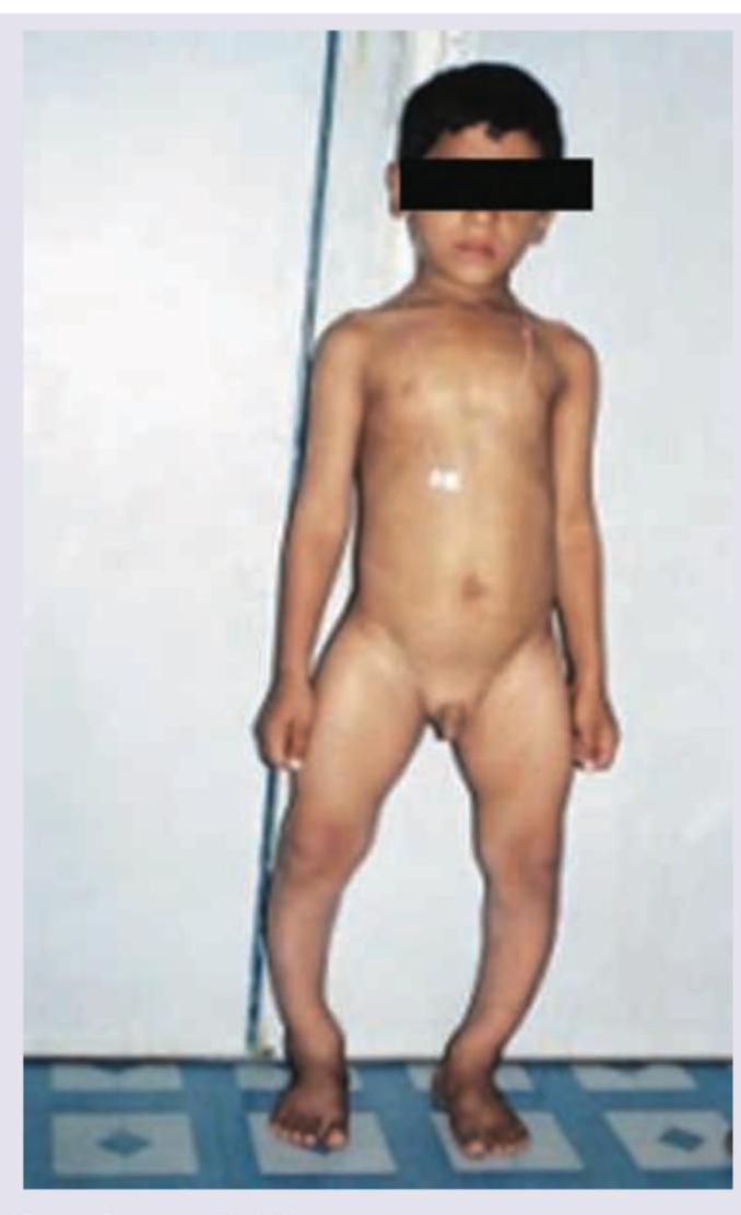 Image for question 253