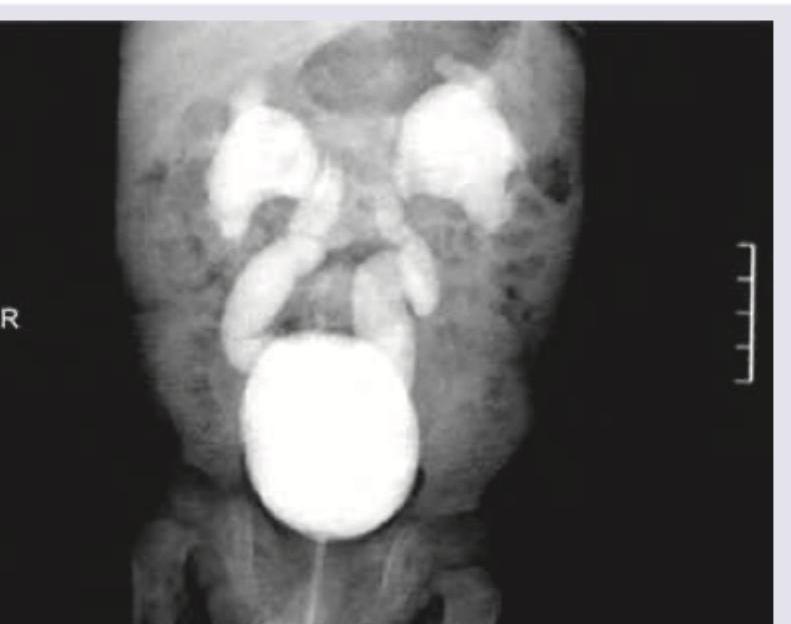 Image for question 55