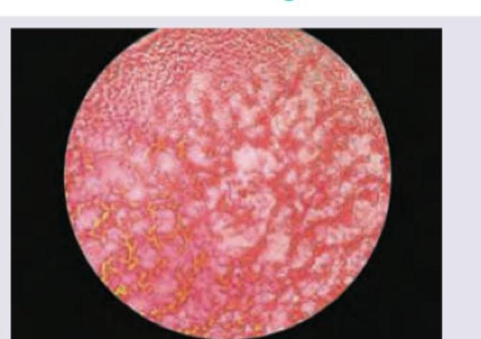 Image for question 10