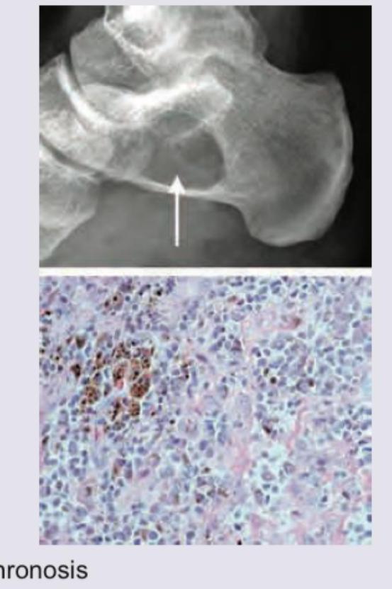 Image for question 5