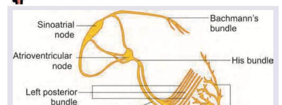 Image for question 8