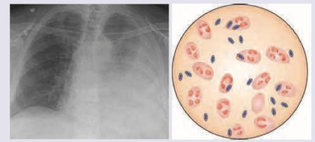 Image for question 9