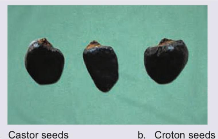 Image for question 772