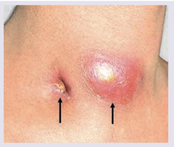 Image for question 14