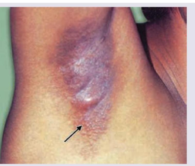 Image for question 5