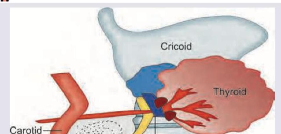 Image for question 349