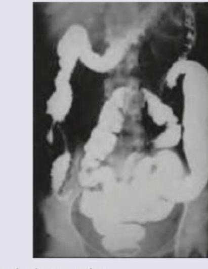 Image for question 12