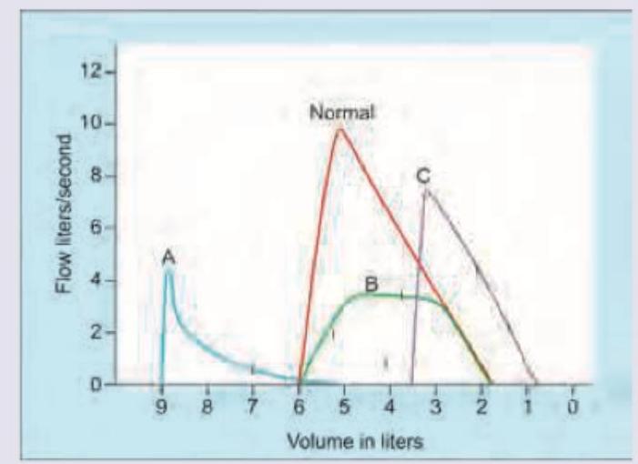 Image for question 7