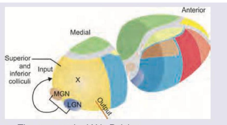 Image for question 356