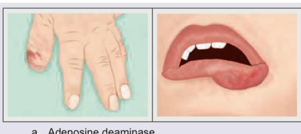 Image for question 7