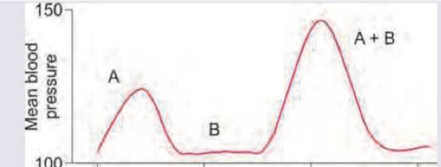 Image for question 4