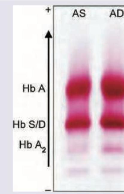 Image for question 8