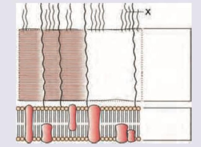 Image for question 408