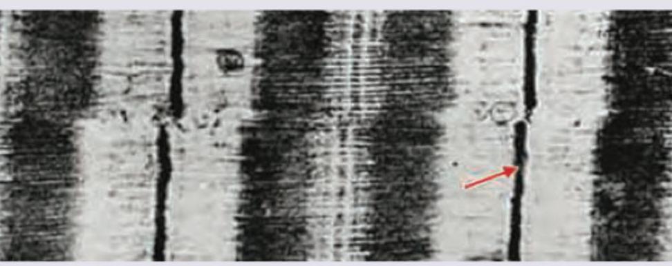 Image for question 9