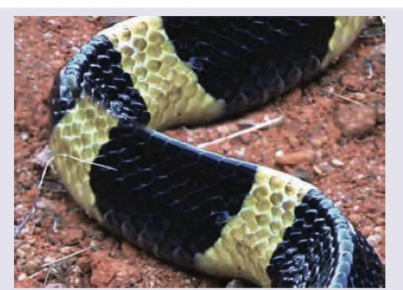 Image for question 9