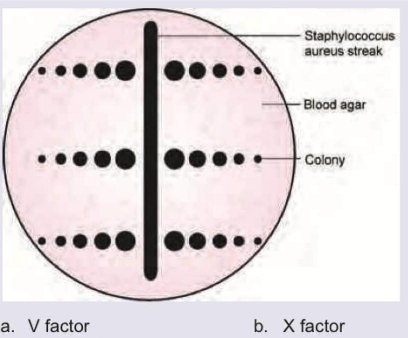 Image for question 8