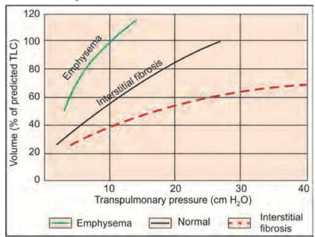 Image for question 729