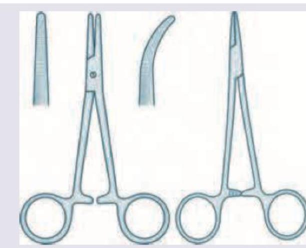 Image for question 787