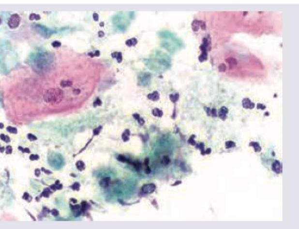 Image for question 1