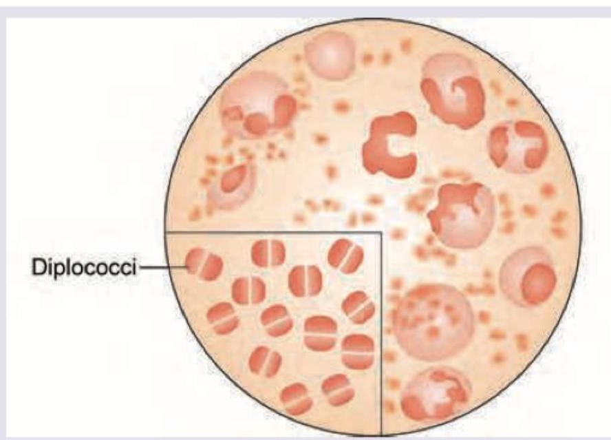 Image for question 10