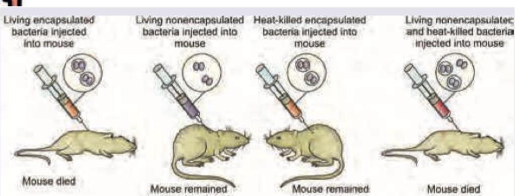 Image for question 170