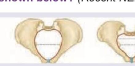 Image for question 7