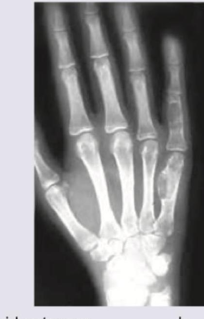 Image for question 247