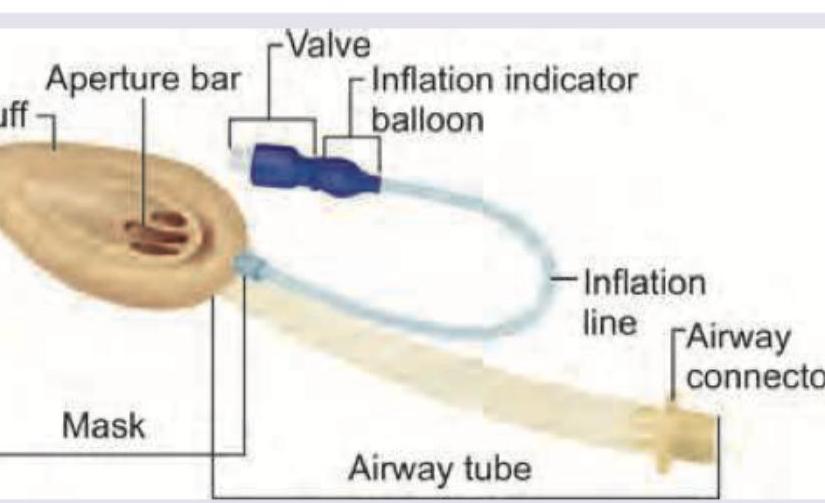 Image for question 8