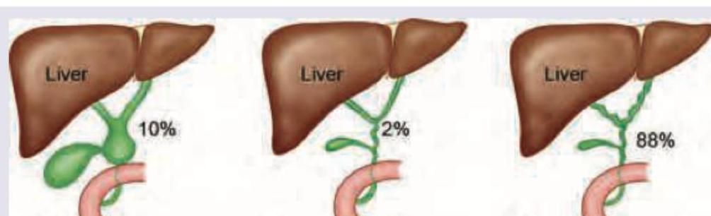 Image for question 490