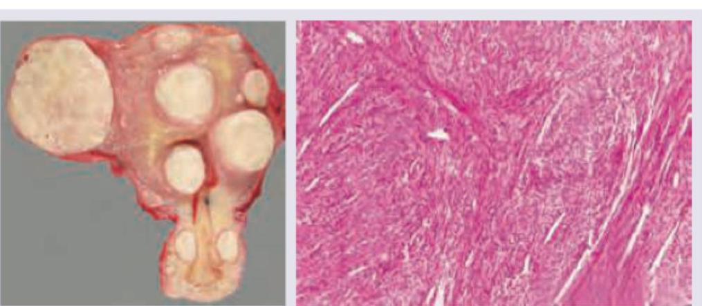 Image for question 10