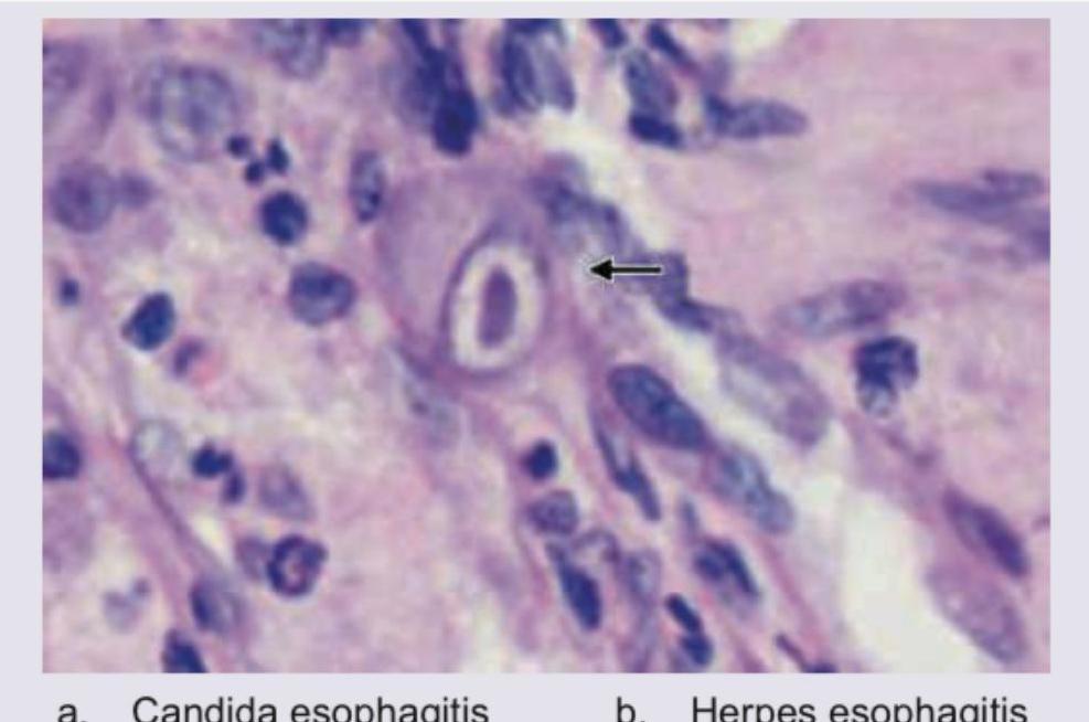 Image for question 1234