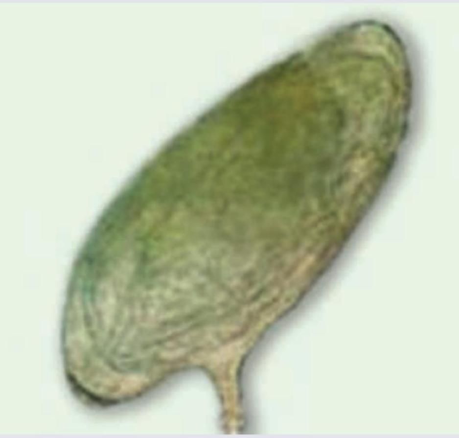 Image for question 26