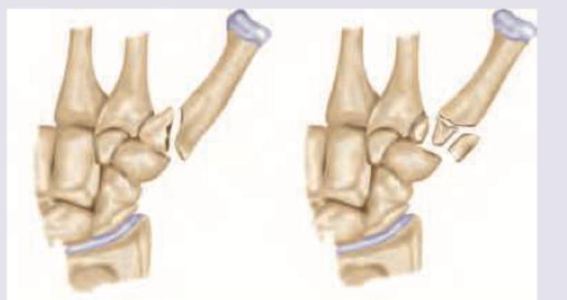 Image for question 1