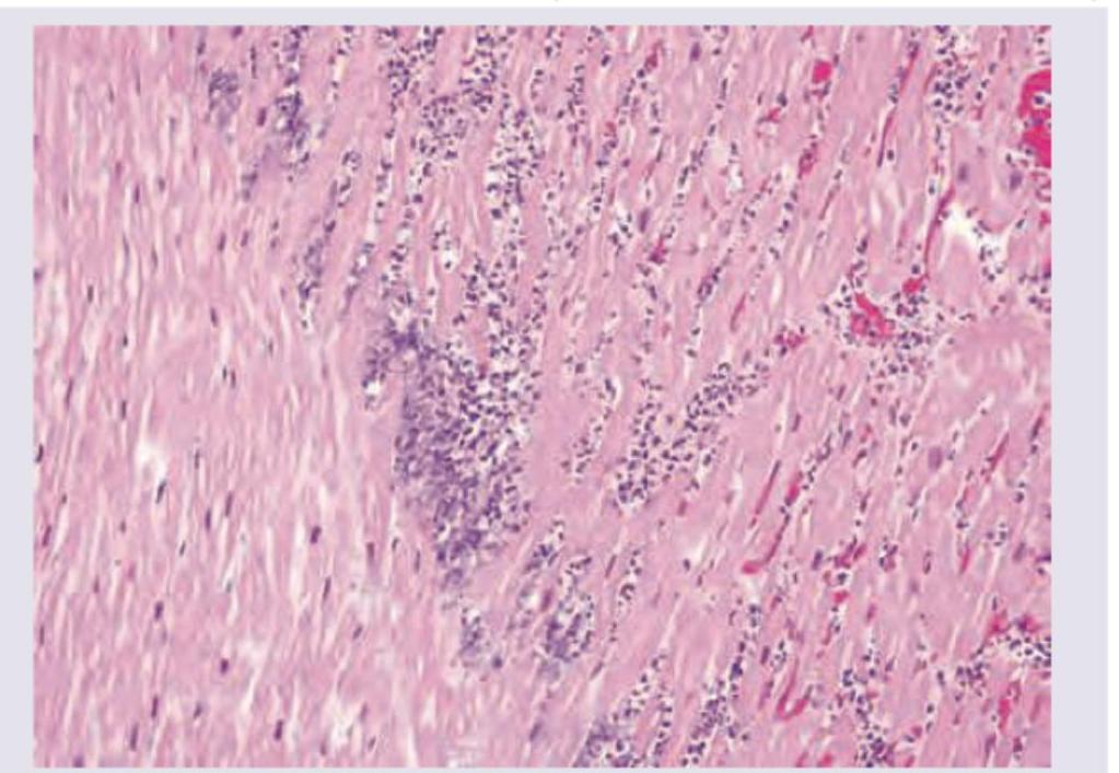 Image for question 204