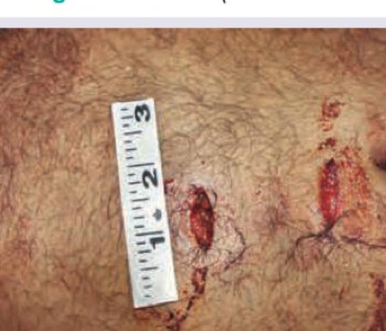 Image for question 6