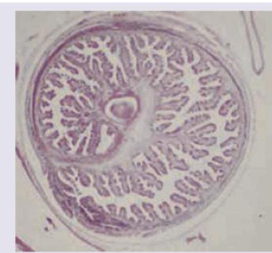 Image for question 9