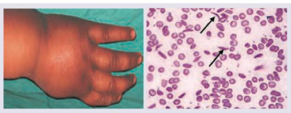 Image for question 12