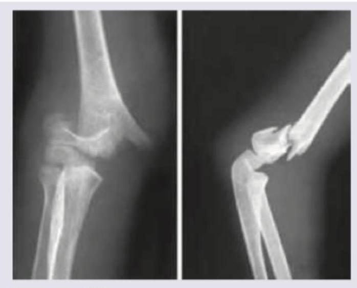 Image for question 264