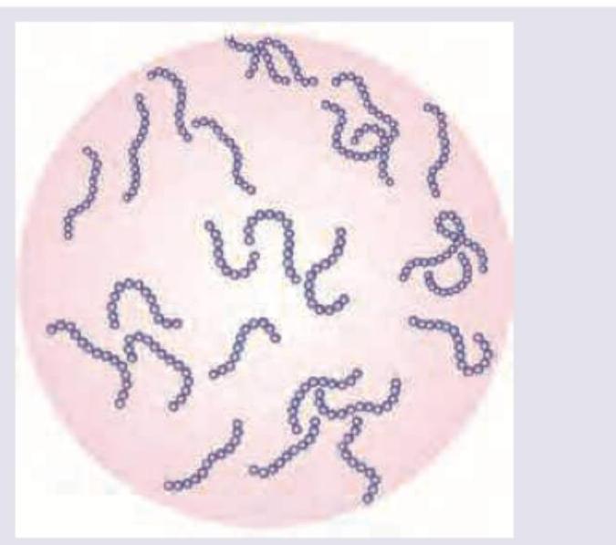 Image for question 2068