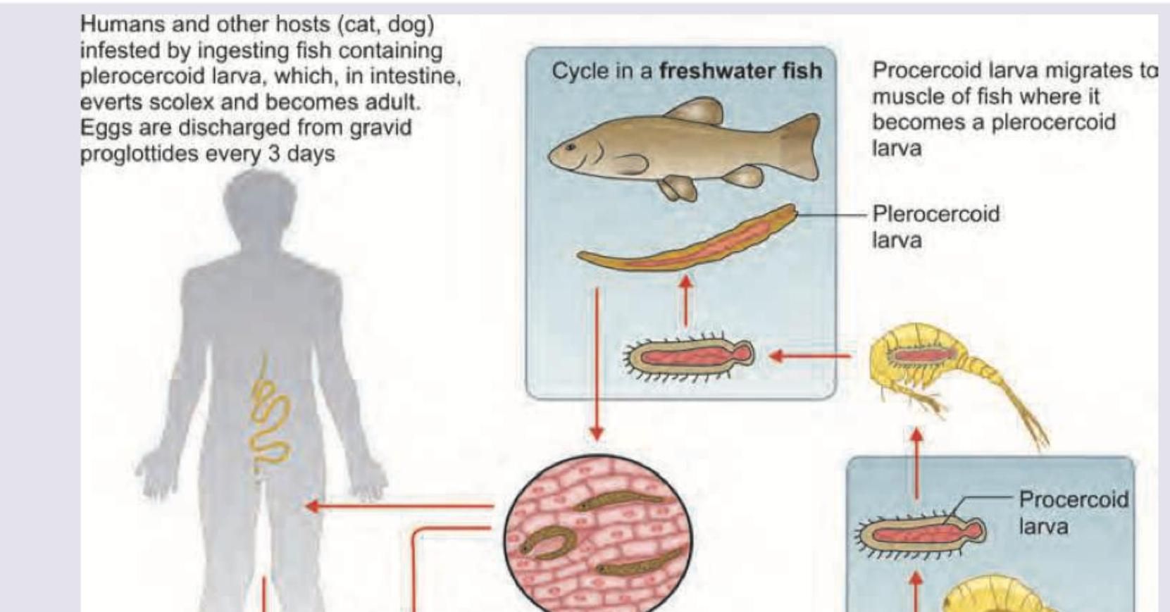 Image for question 15