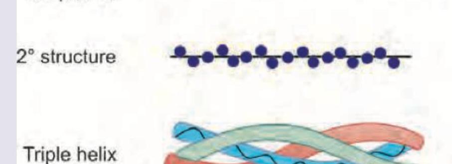 Image for question 363