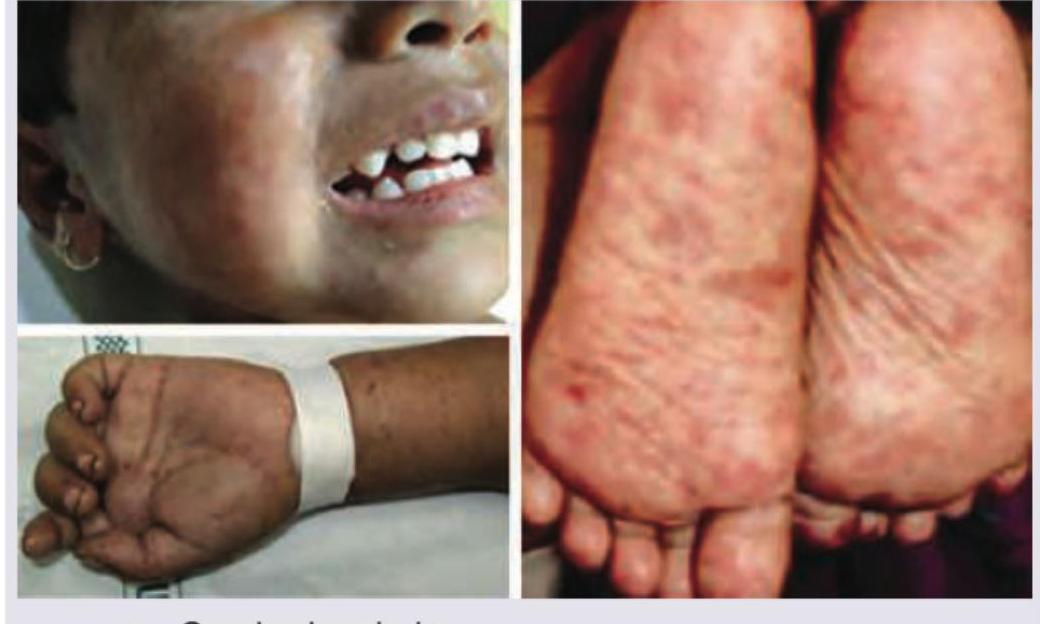 Image for question 16