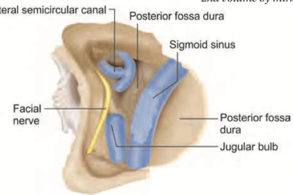 Image for question 285