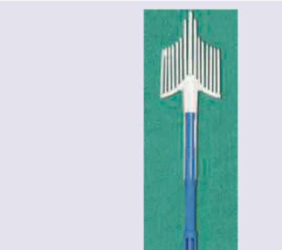 Image for question 913