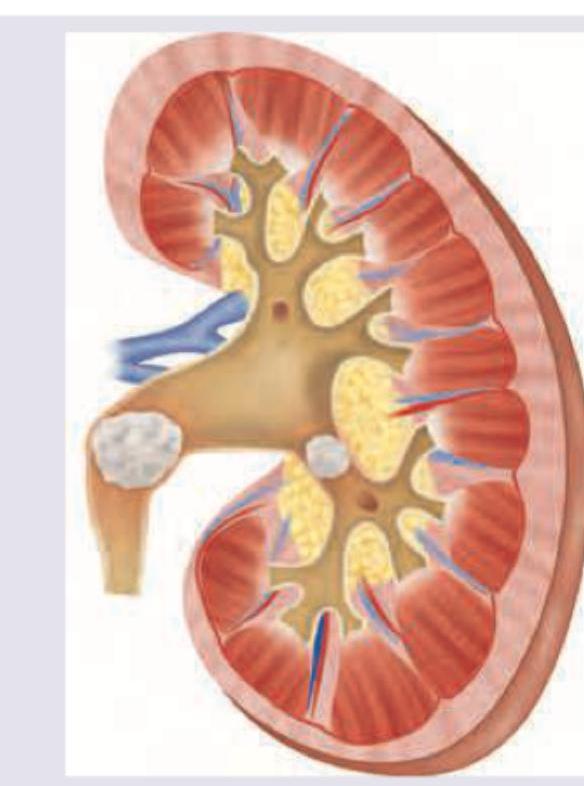 Image for question 4